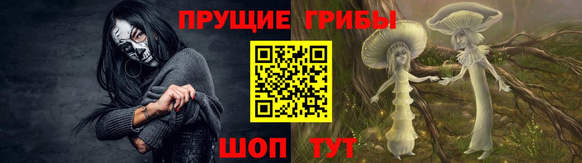 Кировск  Галлюциногенные грибы ЛСД  дарнет шоп  Вход с VPN  Галлюциногенные грибы мухоморы 