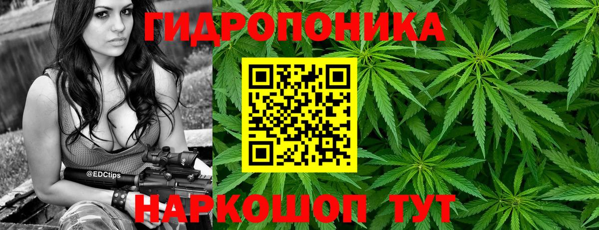 Бошки Шишки Bruce Banner  Вход с VPN  Шишки марихуана гибрид  Кировск  МАРИХУАНА Ganja 